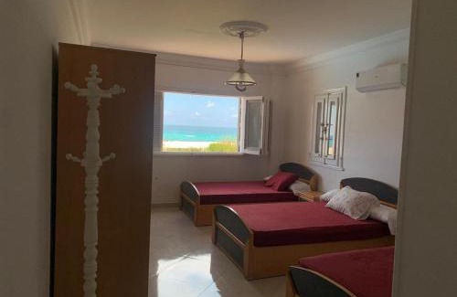 Borg el Arab House | Gorgeous Beachfront House in Sidi Krir