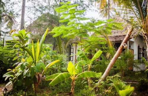 Michamvi Villa | Gorgeous garden bungalows moments to the Indian Ocean