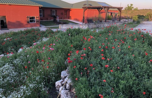 Mountain Home House | Gorgeous Hill Country Get Away For The Entire Family! Close To The Frio River!