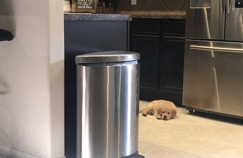 Bammel House | Gorgeous home 20 mins away from IAH George Bush Airport