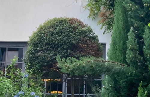 Cascina dei Pomi House | Gorgeous Townhouse in the heart of NoLo