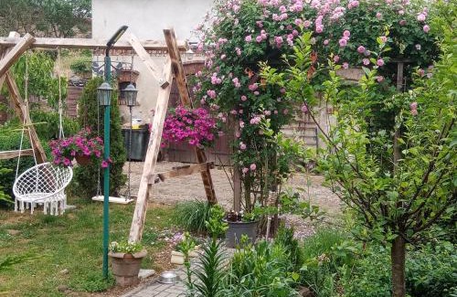 Wegorzyno House | Gospodarstwo agroturystyczne