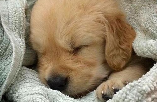 Dong-gu Hotel | Gout Stay