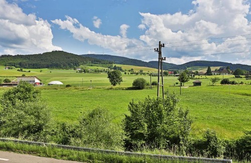Zell am Harmersbach House | Grüner Hof