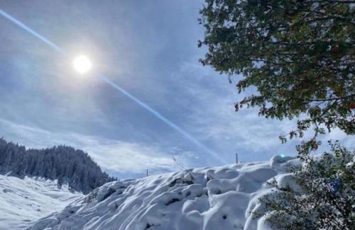 Gaschurn Ski Chalet | Graceful Chalet in Gaschurn with Sauna