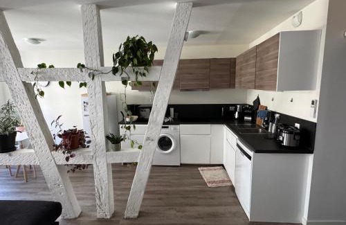 Haguenau Apartment | Grand et lumineux 2 pièces avec climatisation en zone pietonne