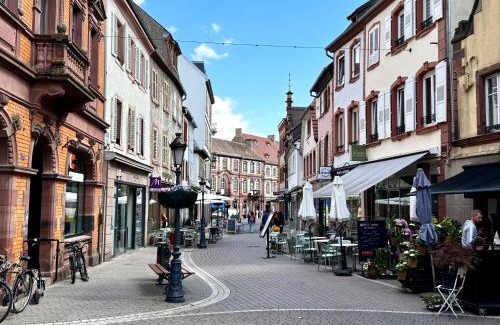 Haguenau Apartment | Grand et lumineux 2 pièces avec climatisation en zone pietonne