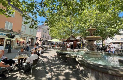 Haguenau Apartment | Grand et lumineux 2 pièces avec climatisation en zone pietonne