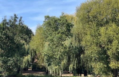 Chemire-le-Gaudin House | Grand gîte près du Mans avec piscine, cheminée et animaux - FR-1-410-217