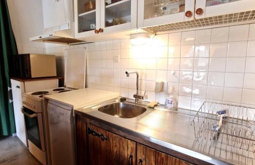 Chamrousse Apartment | Grand T2 cabine 55m² avec balcon exposé sud à Chamrousse 1650, animaux acceptés - FR-1-340-133