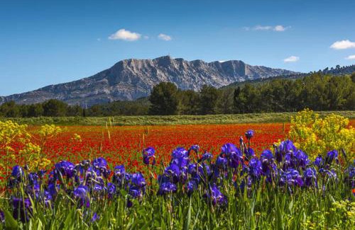 Trets Apartment | Grand T2 cozy