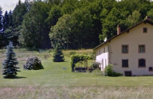 Taintrux House | Grande Ferme Rénovée avec Jardin, Terrasse et Sentiers à Proximité - Vosges - FR-1-589-232