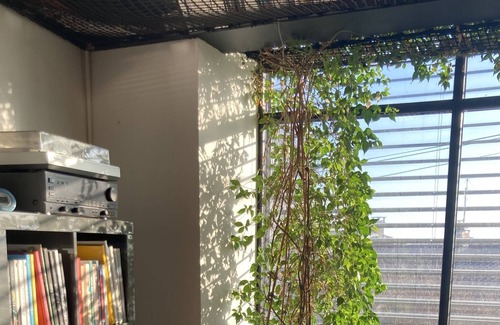 Les Echets House | Grande Maison D'architecte Avec Toit Terrasse