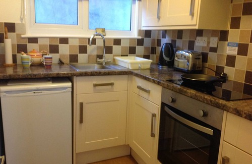 Ventnor Ski Chalet | GREAT VALUE VILLA WITH SUPERB SEA VIEW, DOG FRIENDLY, BEACH 10 MINS WALK