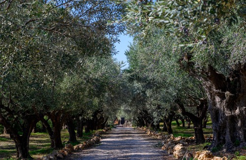 Tragana Villa | Greek Villa of Exceptional Beauty & Sea Views - 10-12 p - 4 min to golf courses!