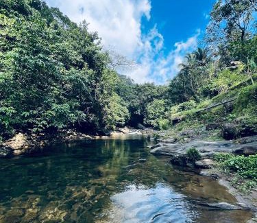 Elappara House | Green and Green