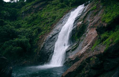 Elappara House | Green and Green