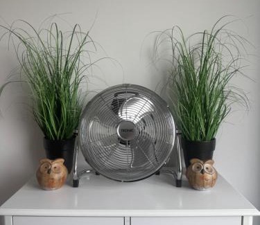 Lebork Apartment | Green Harmony