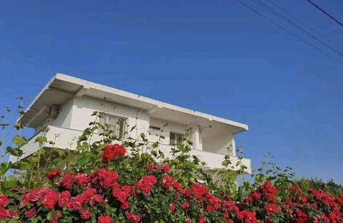 Rade House | Green Villa