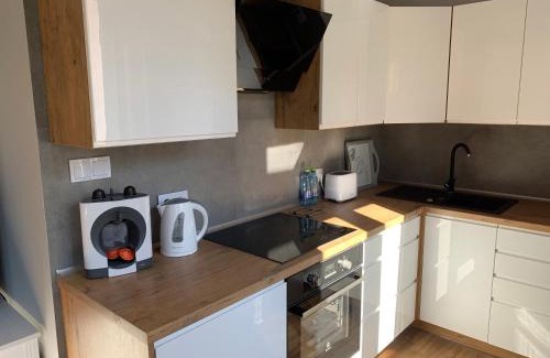 Tarnowskie Gory Apartment | Grey apartment 50 m2