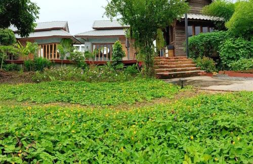 Thung Satok House | Greyhouse Homestay