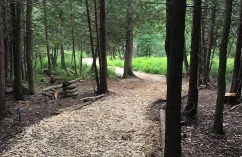 Chatsworth Cabin | Greyridge Glamping "Paradise Island " Retreatnn