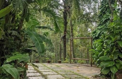 Chikkamagaluru Apartment | Guddadamane Homestay Family Room