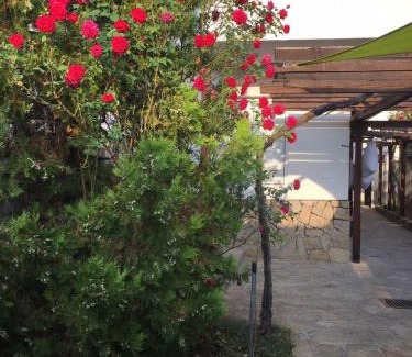 Kardzhali Province House | Guest House Dobrev