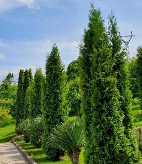 Ijevan Bed & Breakfast | Guest House Ijevan's Garden