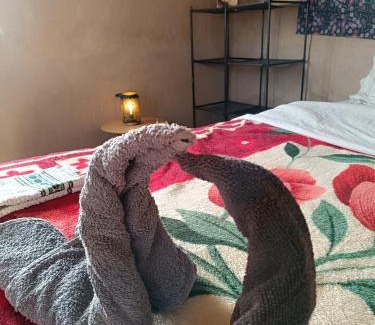 Merzouga Bed & Breakfast | Guest House Nomad Life