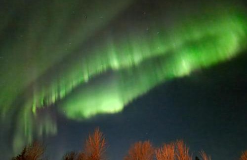 Hofn House | Guesthouse Mikael