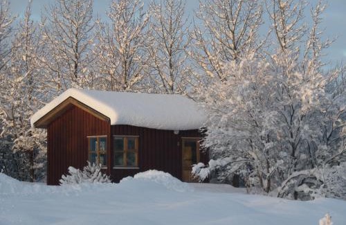 Akureyri House | Guesthouse Pétursborg