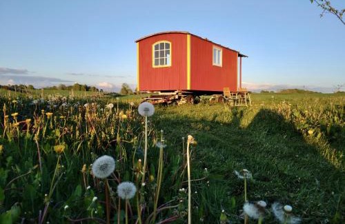 Horby Bed & Breakfast | Gula Vagnen på en äng i lantlig miljö
