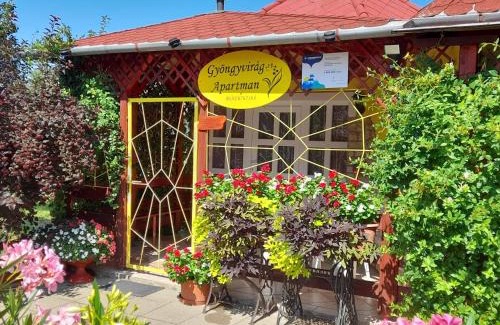 Romhany Apartment | Gyöngyvirág Apartment