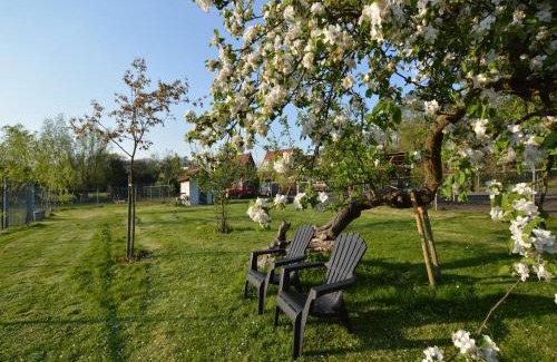 Municipality of Bergen op Zoom House | Gypsy Caravan in Weideblick with Farm Animals