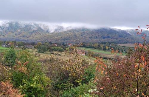 Zalaszanto House | Ház kilátással