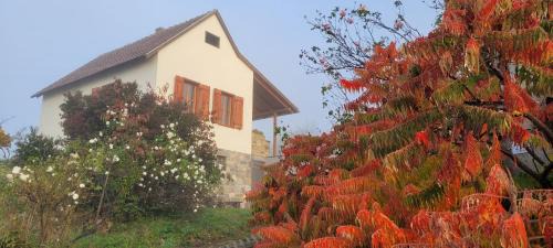 Zalaszanto House | Ház kilátással