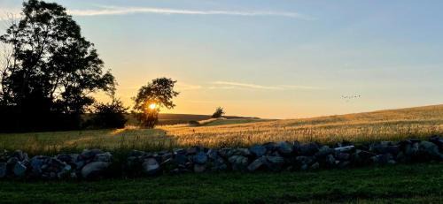Listarum House | Håkansgården, beautiful views in the middle of Österlen