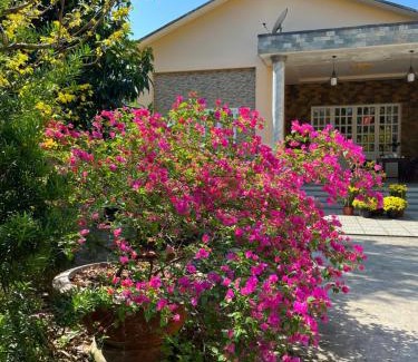 Ben Tre Hotel | HÒANG HÔN HOMESTAY