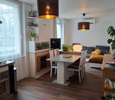 Saint-Etienne Apartment | Hôte Stéphanois &parking