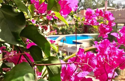 Toubakouta Bed & Breakfast | HÔTEL LE DJIOSFALA miroir de la Terranga