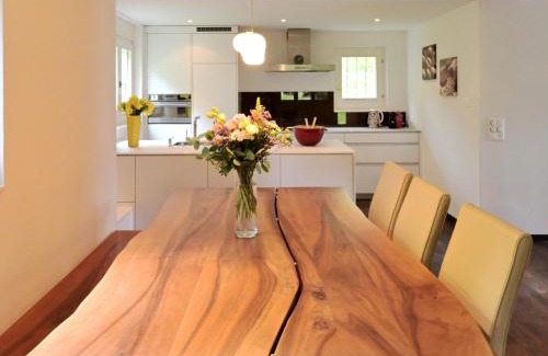 Arosa Apartment | Hölzerhütte