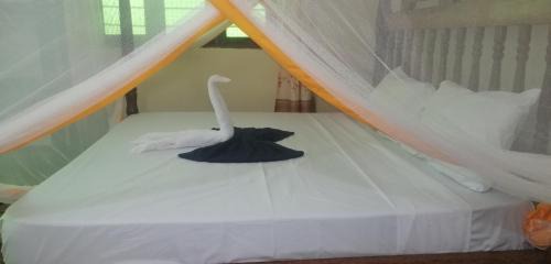 Kendwa Apartment | H&M Villa