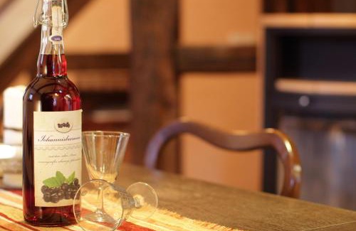 Kammerforst Apartment | Hainich-Ferienhof