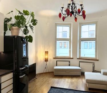 Kallio Apartment | HAKANIEMI luxury apartment Helsinki center, 24h check in
