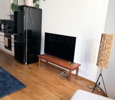 Kallio Apartment | HAKANIEMI luxury apartment Helsinki center, 24h check in