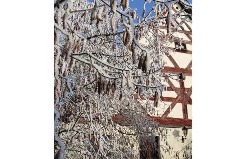 Großalfalterbach House | Half-timbered house from 1708