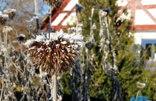 Großalfalterbach House | Half-timbered house from 1708