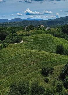 Zavrc Apartment | Haloze ForMe