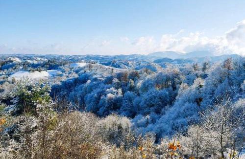 Zavrc Apartment | Haloze ForMe